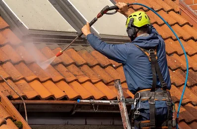 Démoussage et hydrofuge de toiture à Ortillon